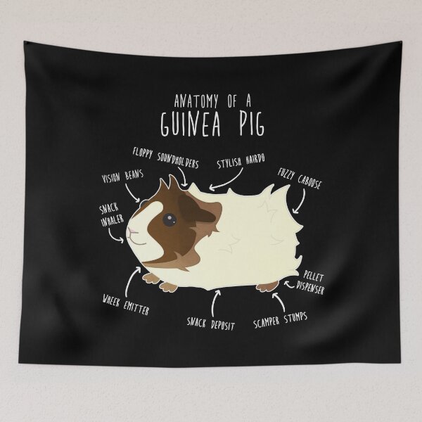 Item preview, Abyssinian Guinea Pig Anatomy designed and sold by Clara Hollins.