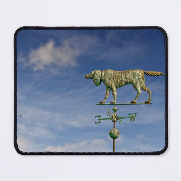 Item preview, One Day, I Will Flay Away. designed and sold by Alex Preiss.