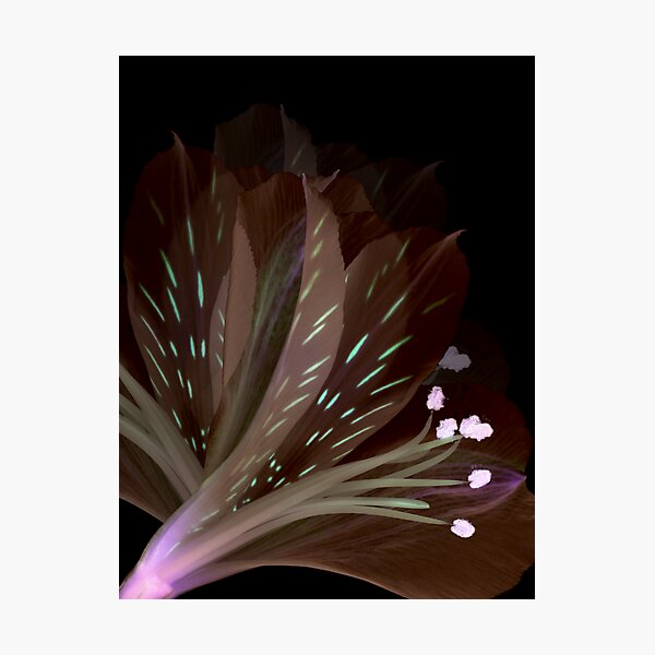 Negativity Photographic Print