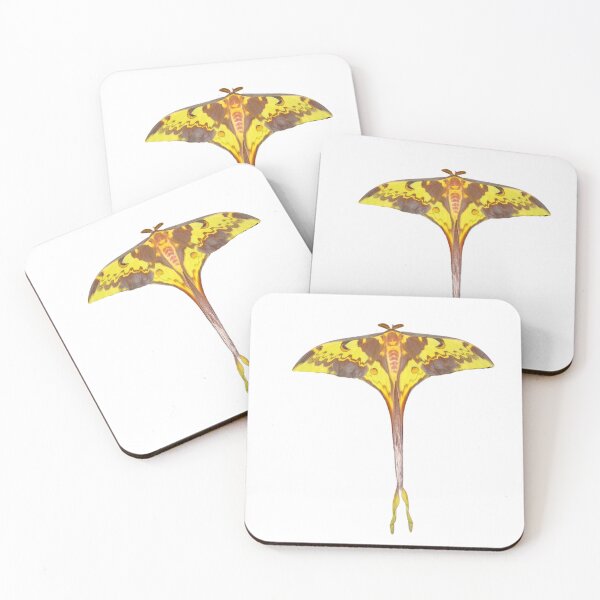 Item preview, Malaysian Moon Moth / Actias maenas / XL Size  designed and sold by Entomologist.
