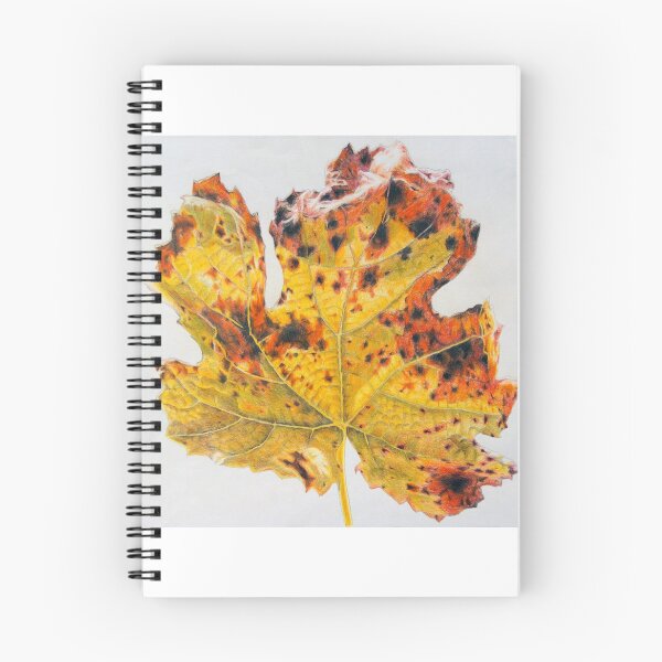 Item preview, Autumn Leaf Detail Coloured Pencil Drawing designed and sold by Vicki Syme.