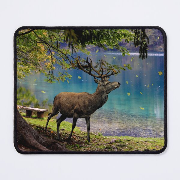 Item preview, Majestic Deer at a Lake in Summer designed and sold by AnimalArtstyle.
