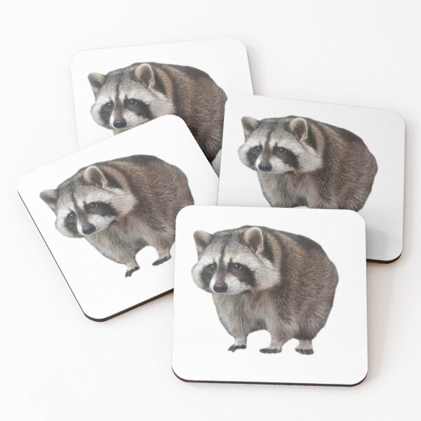Item preview, Stair Raccoon designed and sold by Livaroonie.