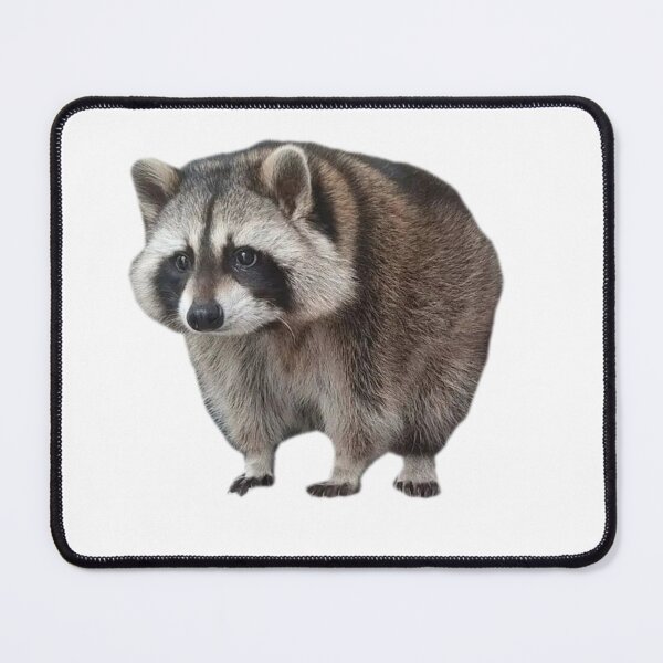Item preview, Stair Raccoon designed and sold by Livaroonie.