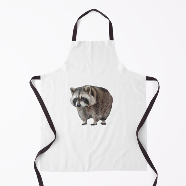 Item preview, Stair Raccoon designed and sold by Livaroonie.