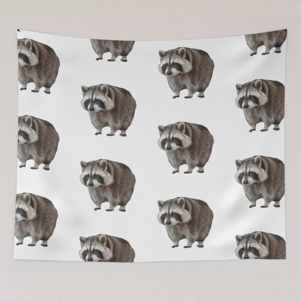 Item preview, Stair Raccoon designed and sold by Livaroonie.