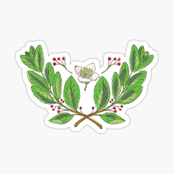 Yerba Mate Flower Leaf and Fruit Drawing Sticker
