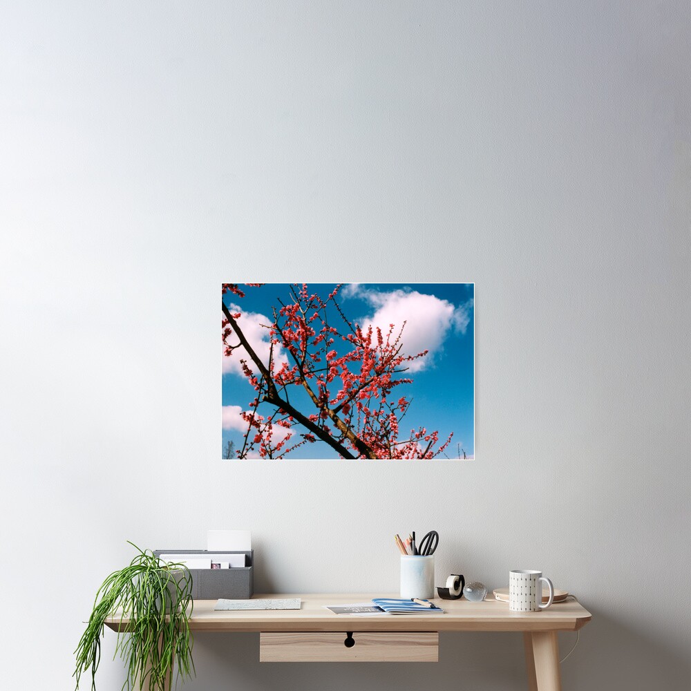 Item preview, Poster designed and sold by tomoenk6.