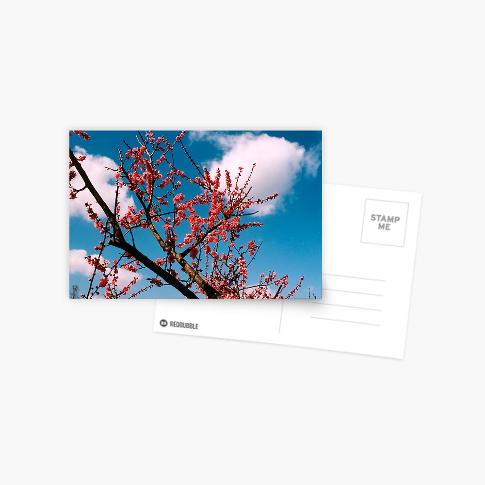 Item preview, Postcard designed and sold by tomoenk6.