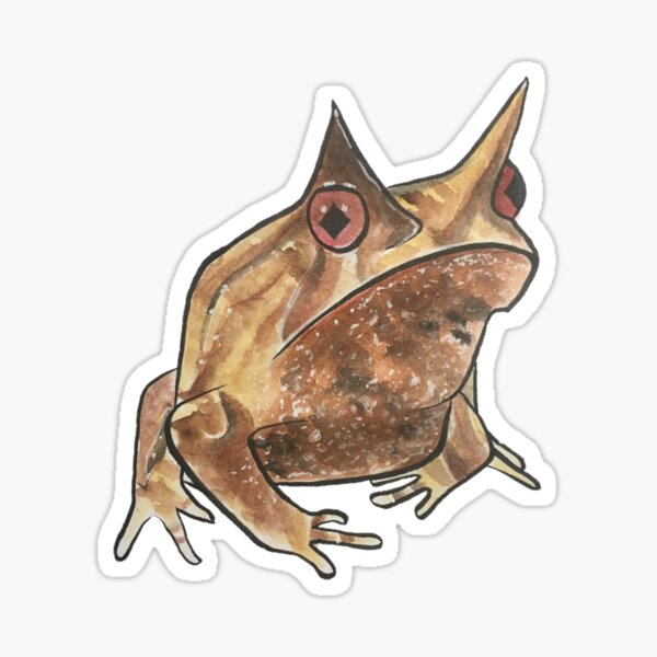 Item preview, Malayan Horned Frog designed and sold by jasperonion.