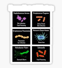 Common Bacterial Infections - Science of Microbiology Sticker