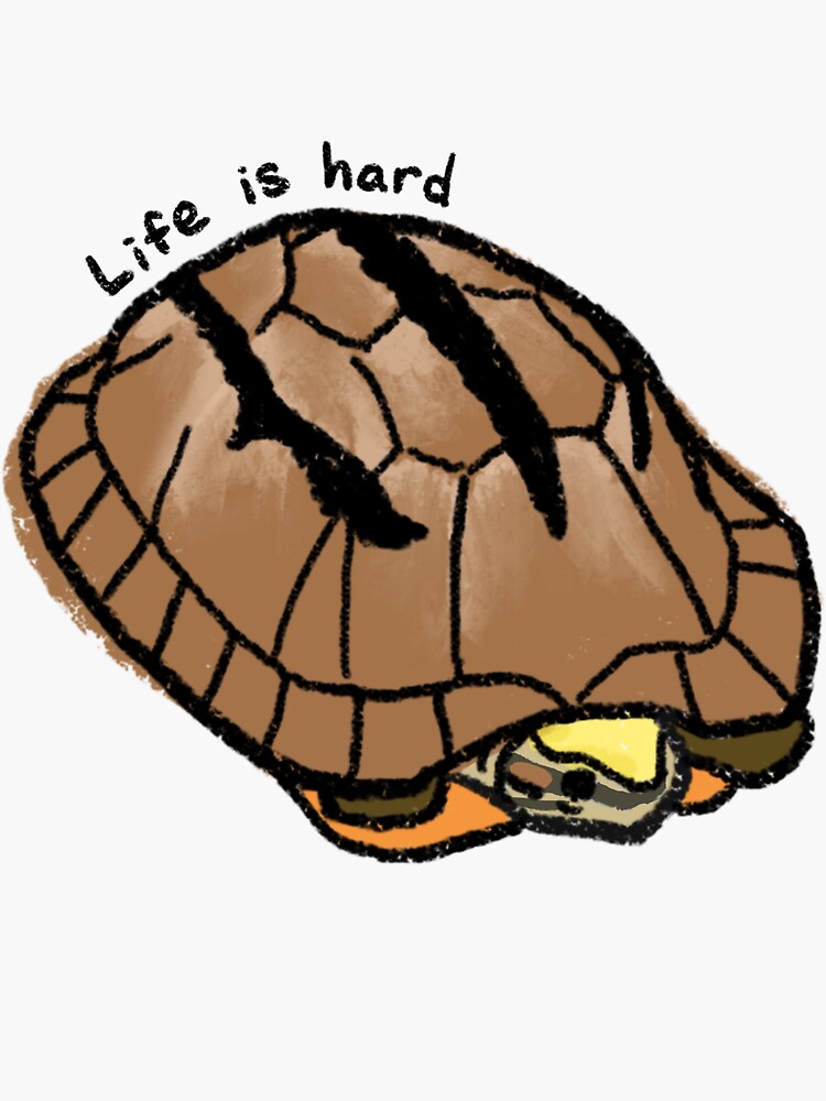 "Life is hard - Golden Coin Turtle" Sticker for Sale by blubadger