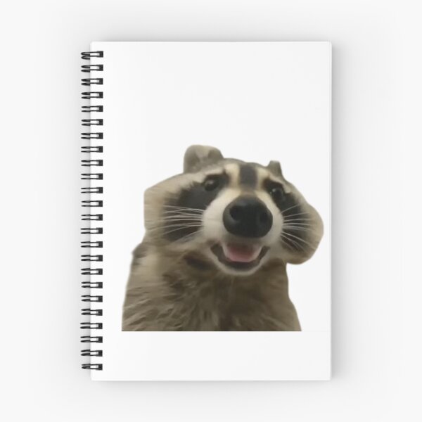 Item preview, Raccoon Vibing designed and sold by Livaroonie.