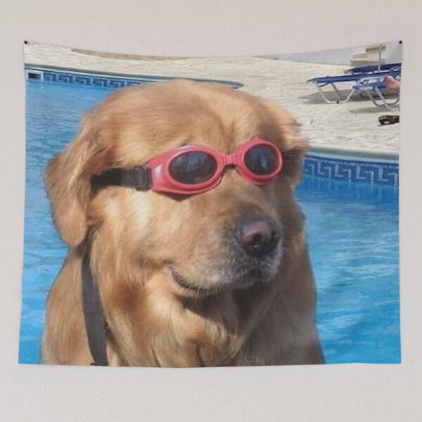 Item preview, POOL DOGGO designed and sold by gsam1633.