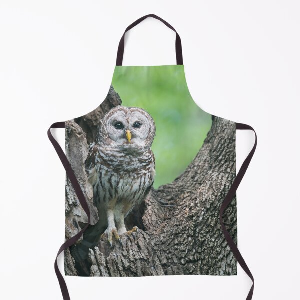 Item preview, Mama Barred Owl designed and sold by Puttaswamy Ravishankar.