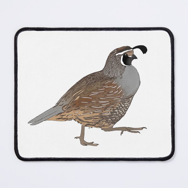 Item preview, Quail  designed and sold by DarbyHunterArt.