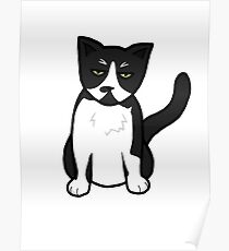 tuxedo cat Poster