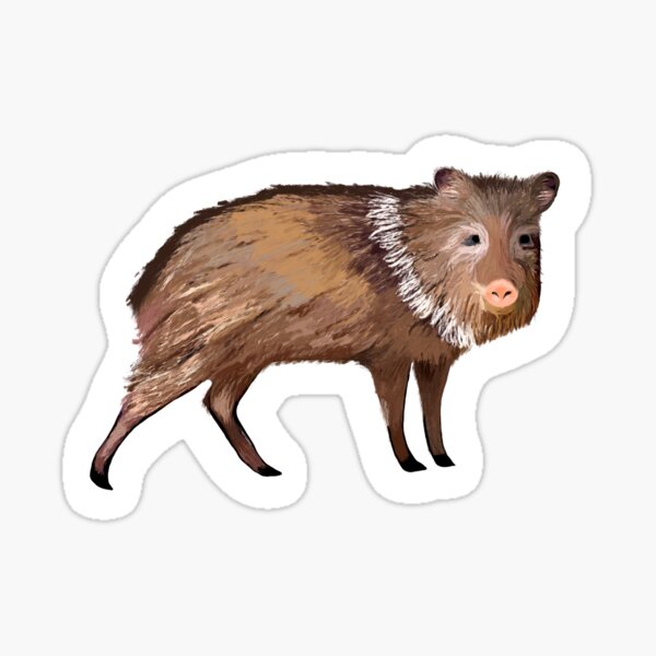 Item preview, Javelina  designed and sold by DarbyHunterArt.