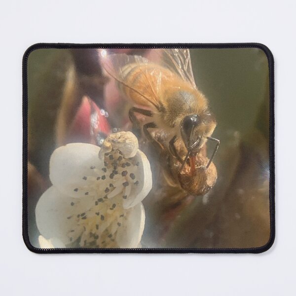 Item preview, Honey Bee on A Water Plant designed and sold by Betsy Phillips.