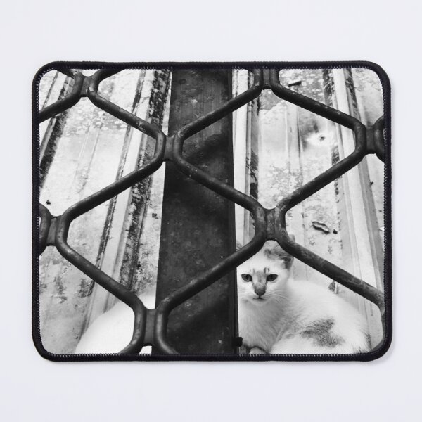 Item preview, Cats Outside the Window designed and sold by Mimi Huang.