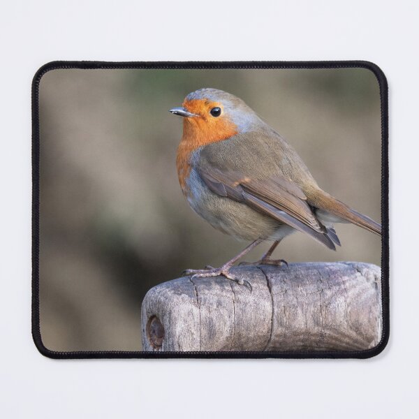 Item preview, Robin red breast designed and sold by alan tunnicliffe.