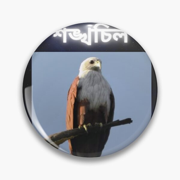 Item preview, শঙ্খচিল, kite,Suvash barman,gifts  designed and sold by suvashbarman.