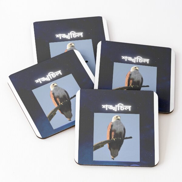Item preview, শঙ্খচিল, kite,Suvash barman,gifts  designed and sold by suvashbarman.