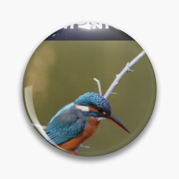 Item preview, মাছরাঙা, kingfisher,Suvash barman, gifts, designed and sold by suvashbarman.