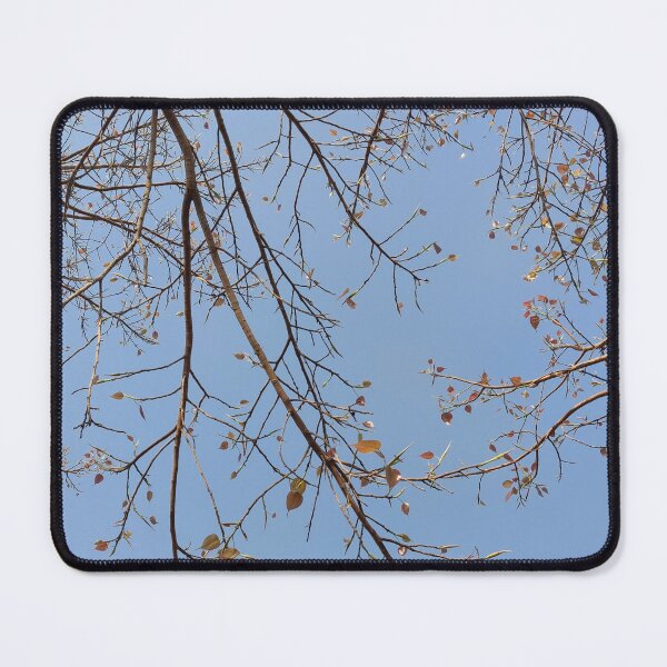 Item preview, Sky and branches designed and sold by stupidpotato1.