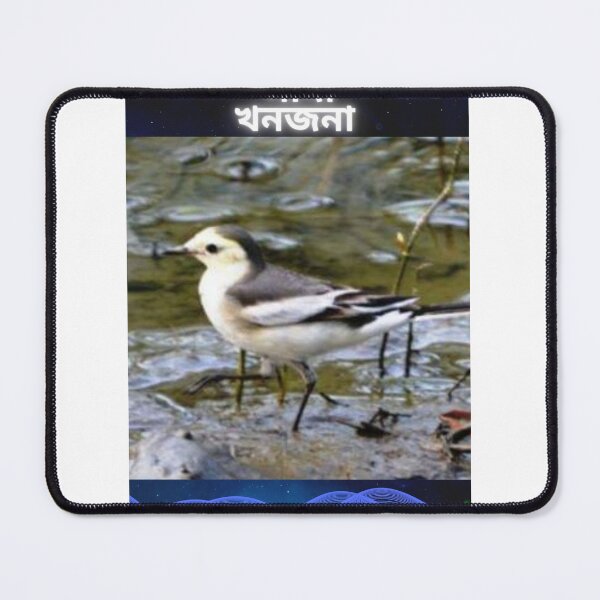 Item preview, সাদা খনজনা, wagtail,Suvash barman, t-shirts , gifts  designed and sold by suvashbarman.