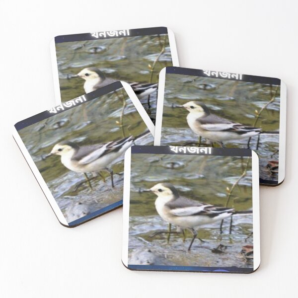 Item preview, সাদা খনজনা, wagtail,Suvash barman, t-shirts , gifts  designed and sold by suvashbarman.
