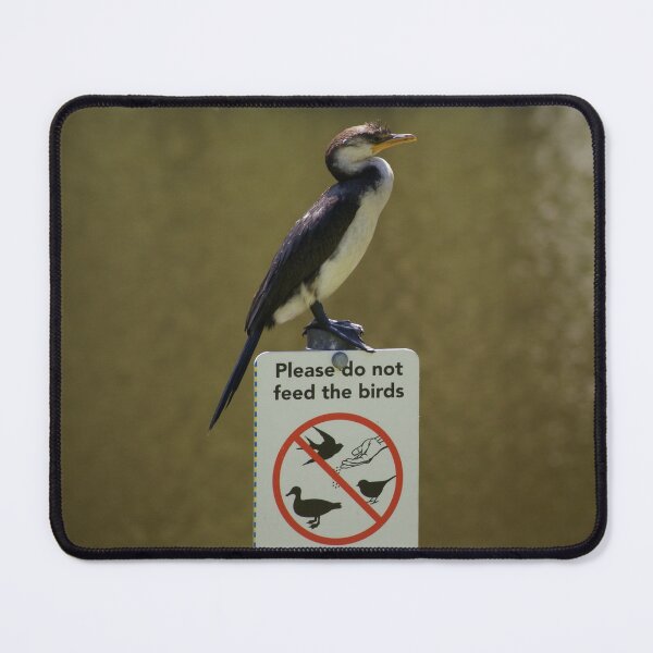 Item preview, Don't Feed the Birds designed and sold by Dragonsfield.