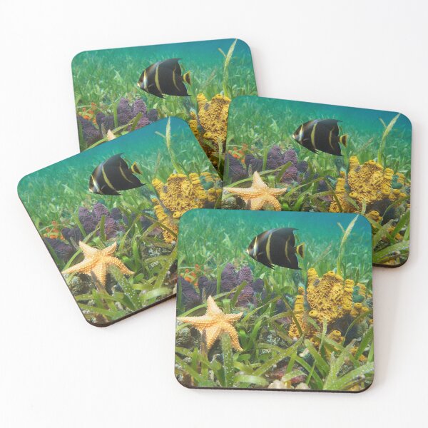 Item preview, Colorful sea life underwater in the Caribbean sea designed and sold by Seaphotoart.