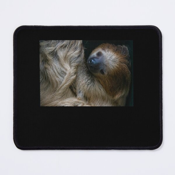 Item preview, Sleepy Sloth137 designed and sold by KilkennyCatArt.