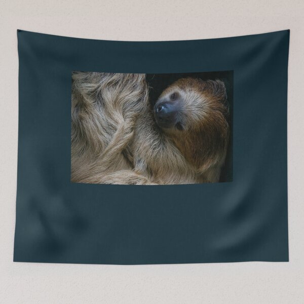 Item preview, Sleepy Sloth137 designed and sold by KilkennyCatArt.