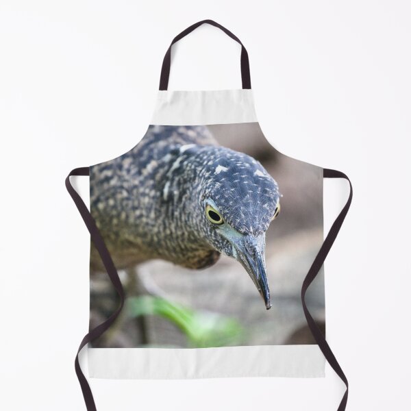 Item preview, Malayan Night Heron designed and sold by hamsambly.