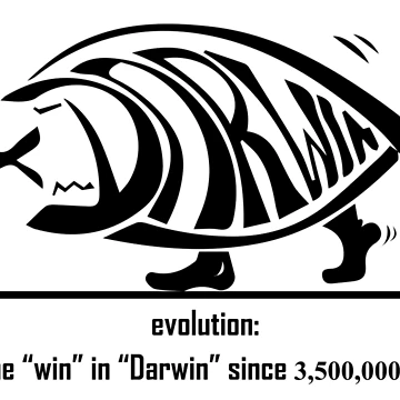 Artwork thumbnail, Evolution by Parthis