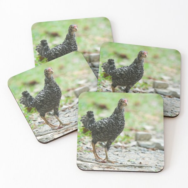 Item preview, Domestic Chicken designed and sold by hamsambly.