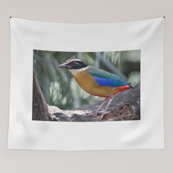 Item preview, Blue-winged Pitta designed and sold by hamsambly.