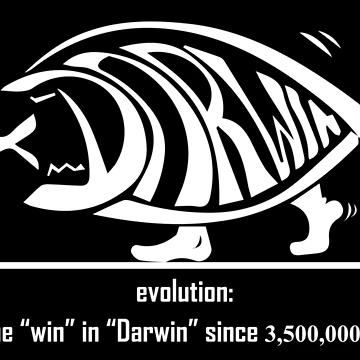 Artwork thumbnail, Evolution by Parthis