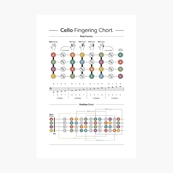 Item preview, Cello Finger Position Chart designed and sold by pennyandhorse.