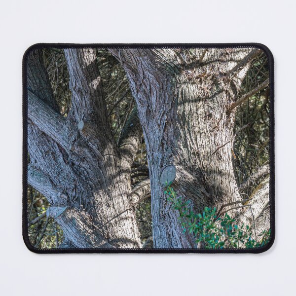 Item preview, tree twin designed and sold by OskiOnTour.