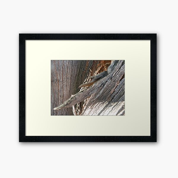Tree bark!! Framed Art Print