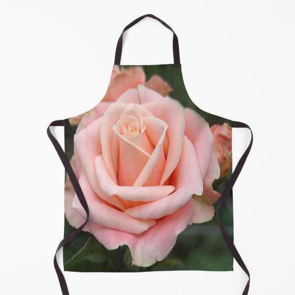Item preview, Pink Tea Rose (Rosa Hybrida) Botanical Flower designed and sold by VistaViews.