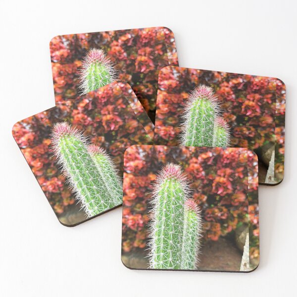 Item preview, Cactus  designed and sold by stupidpotato1.