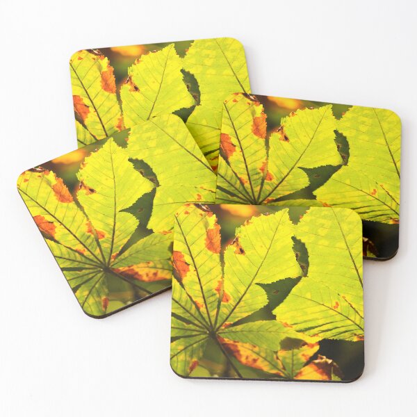 Item preview, Crawfordsburn Park Leaf Detail Nature Lovers designed and sold by eddiebarronshop.