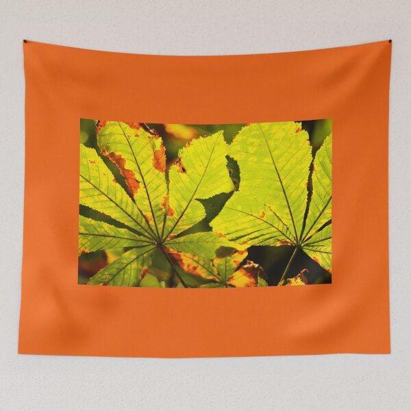 Item preview, Crawfordsburn Park Leaf Detail Nature Lovers designed and sold by eddiebarronshop.