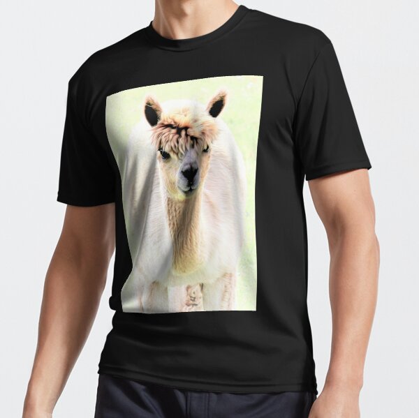Sweet alpaca Active T-Shirt