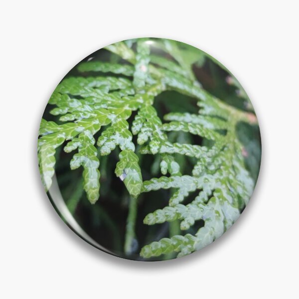 Item preview, Drippy green evergreen shrub in winter designed and sold by tshuki.