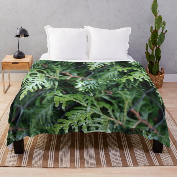 Item preview, Drippy green evergreen shrub in winter designed and sold by tshuki.